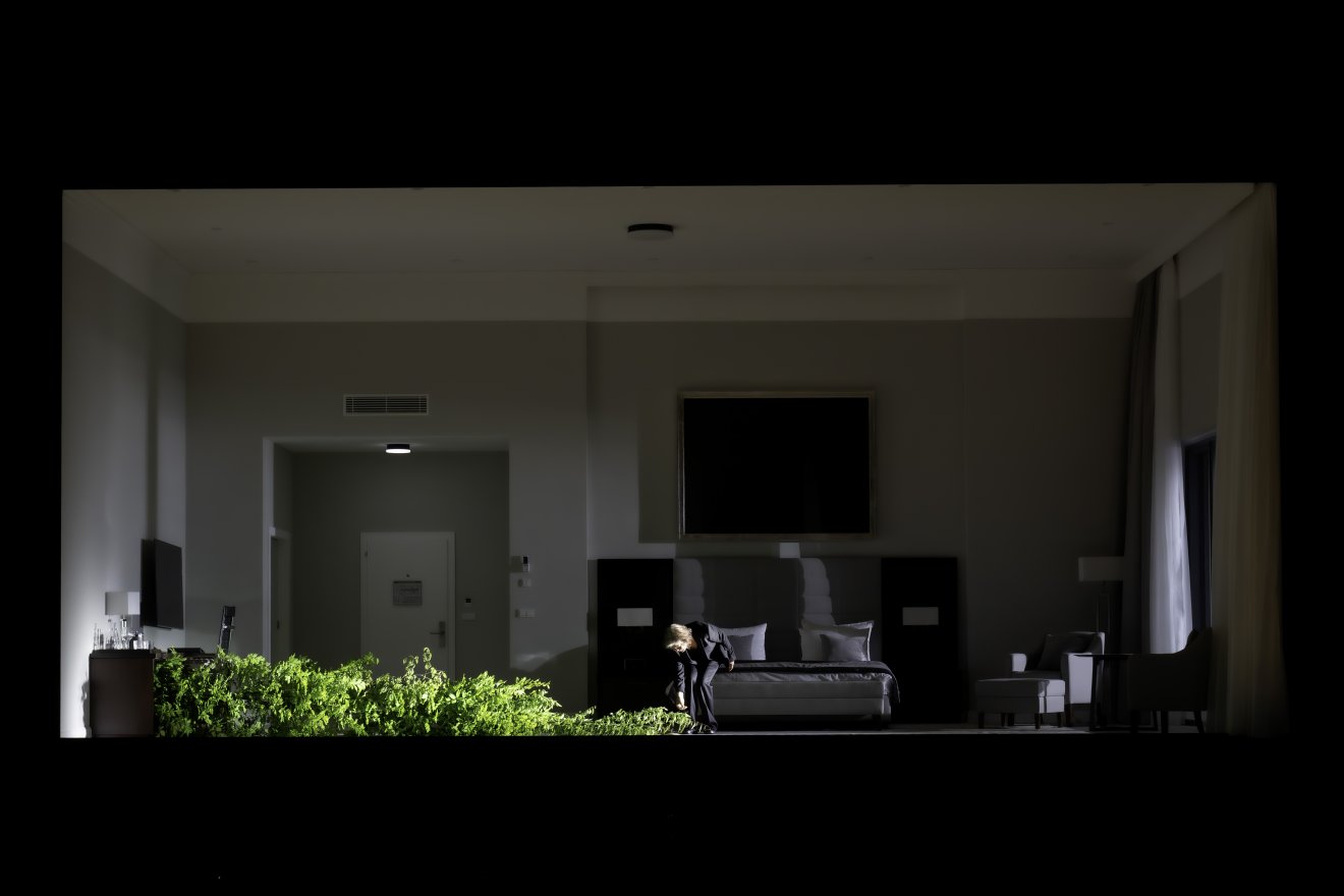 Hotel Metamorphosis